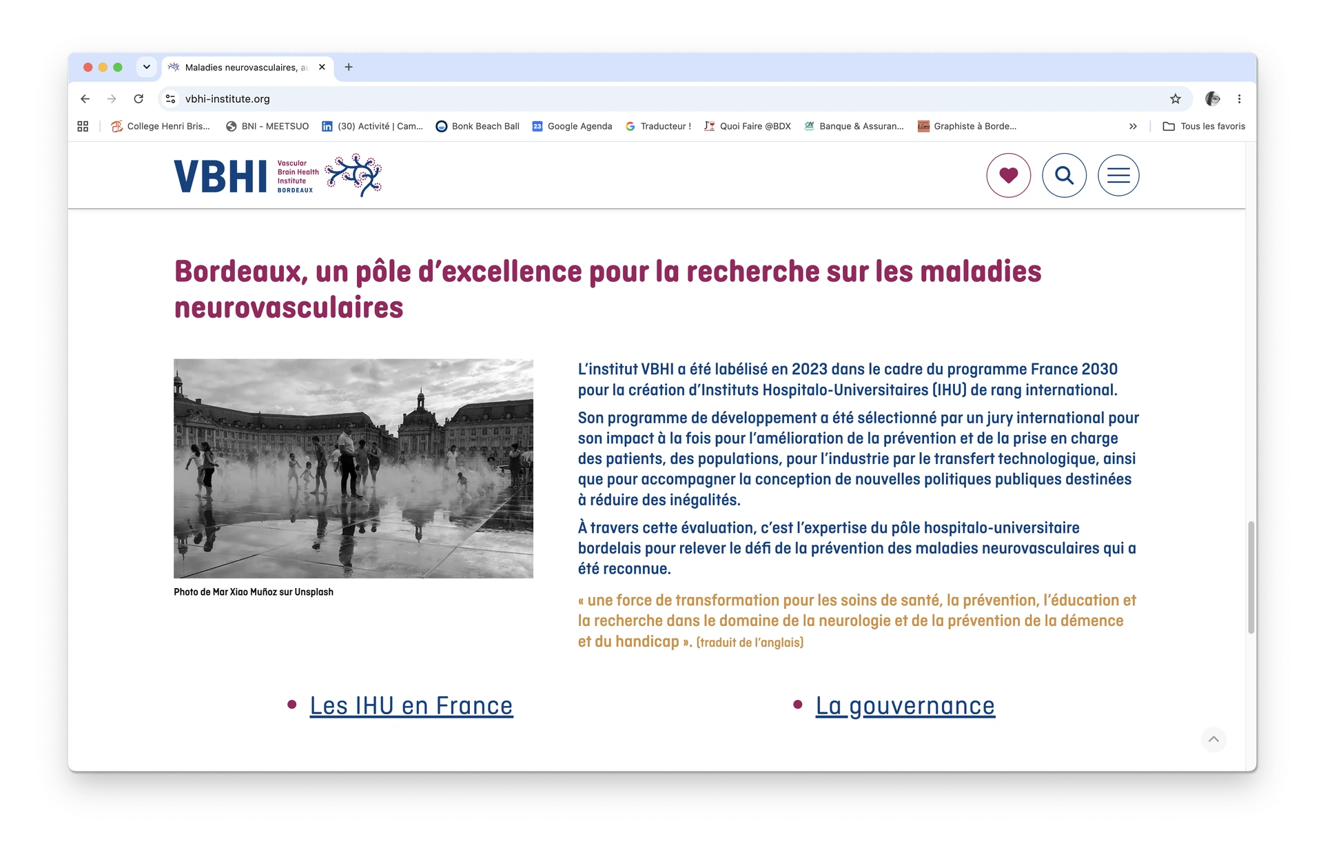 Page du site web VBHI